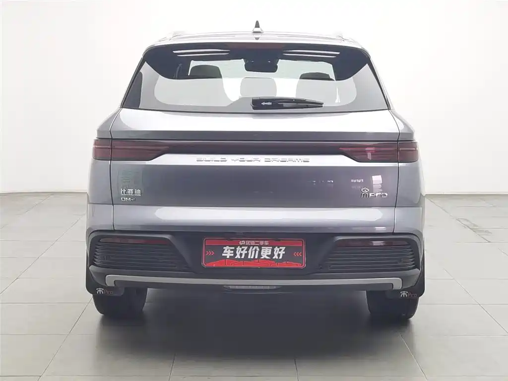 BYD Pro New Energy 2024 — фото 4