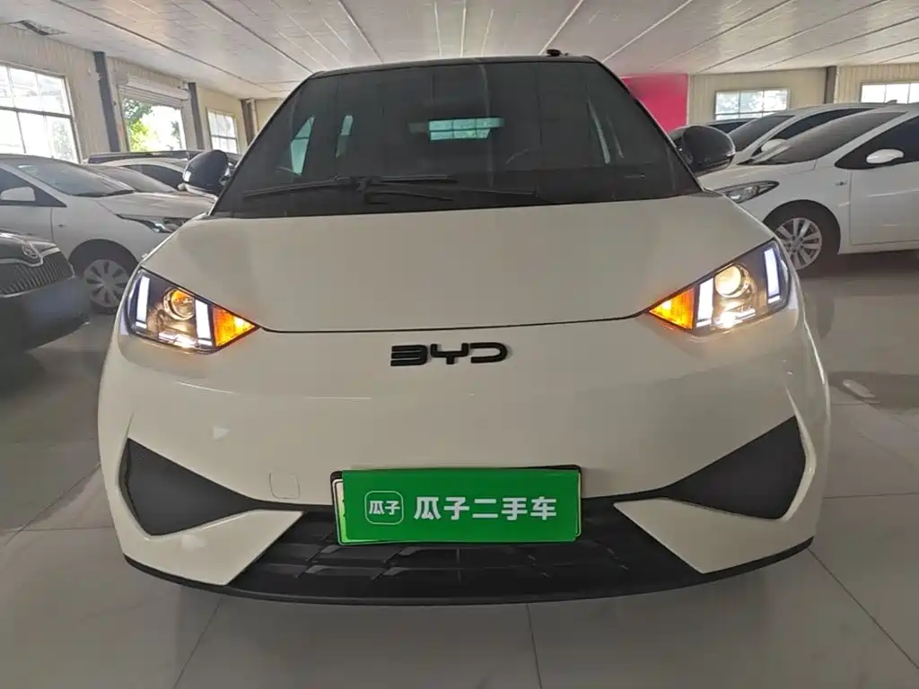 BYD Seagull 2025