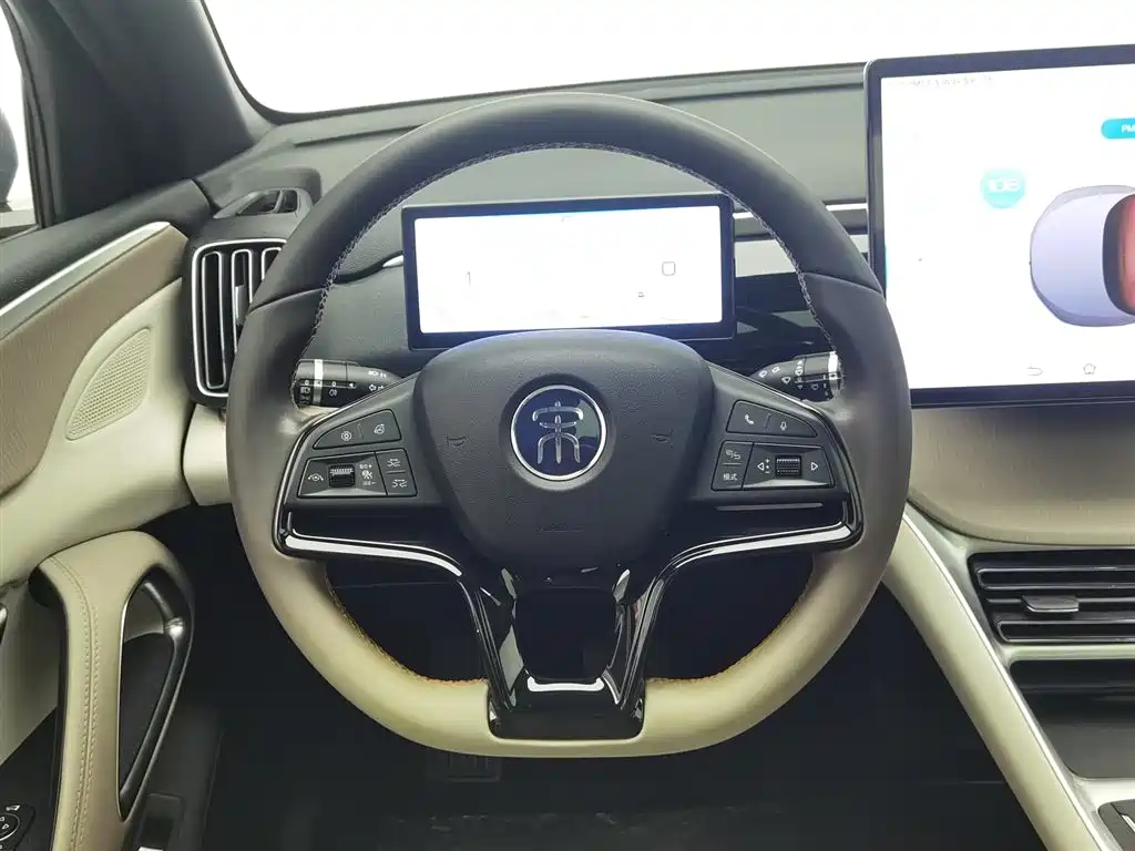 BYD Pro New Energy 2024 — фото 11