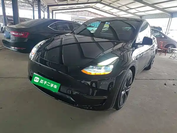Tesla Model Y 2021