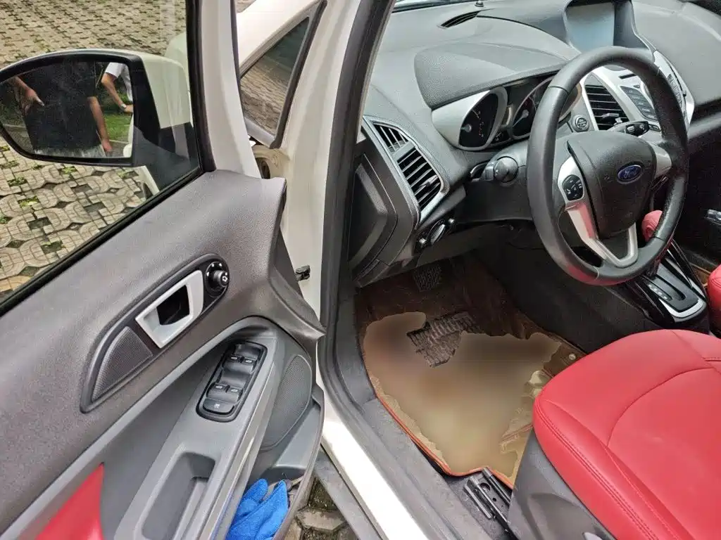 Ford Ecosport 2014 — фото 13