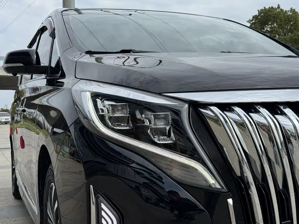 GAC Motor Trumpchi M8 2022 — фото 12
