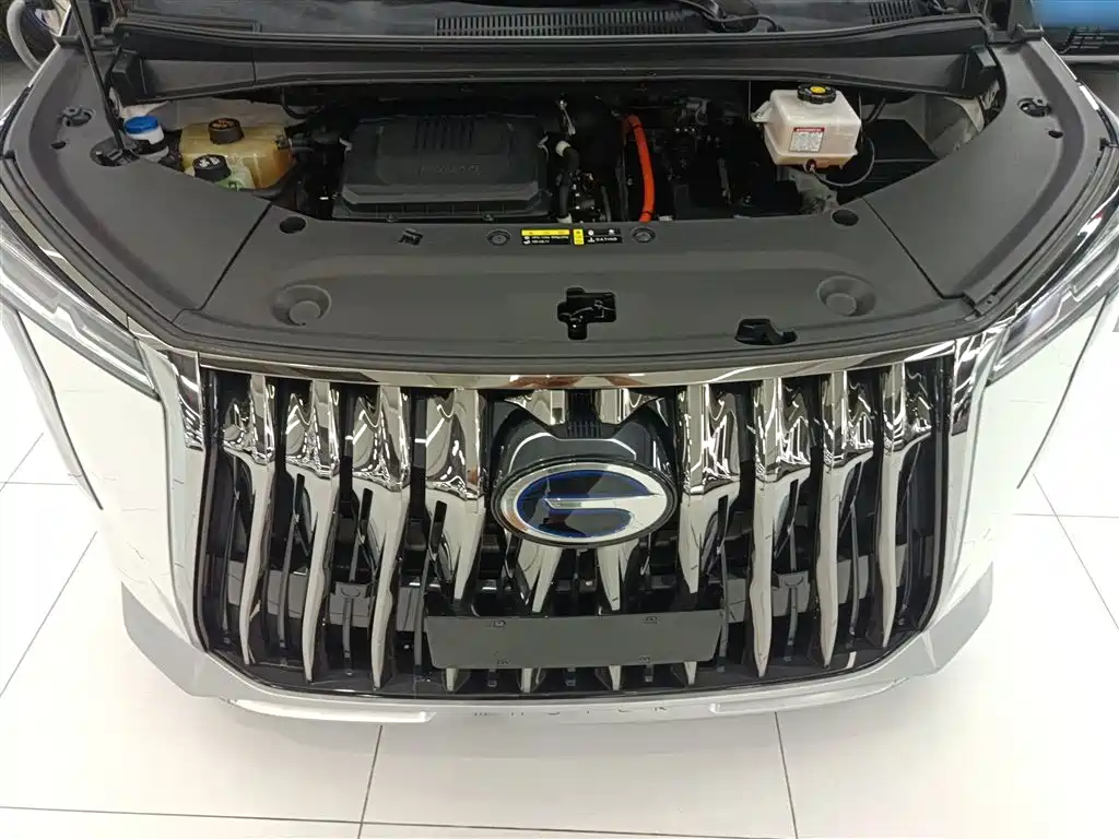 GAC Motor Trumpchi M8 2023 — фото 20