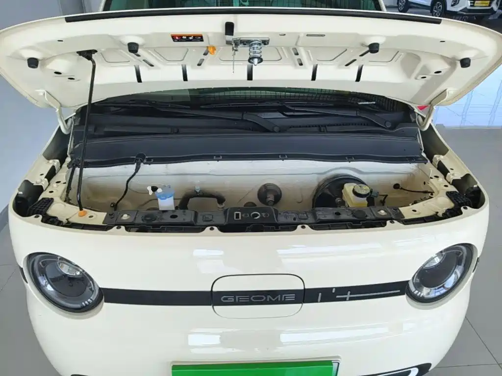 Geely Galaxy Panda 2025 — фото 20