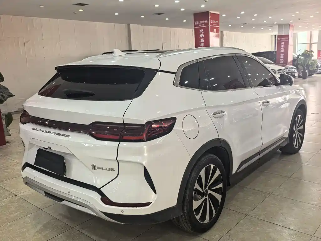 BYD PLUS New Energy 2024 — фото 5
