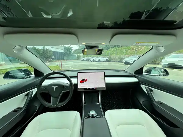 Tesla Model 3 2020