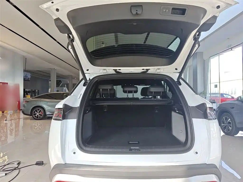 BYD L DM-i 2025 — фото 19