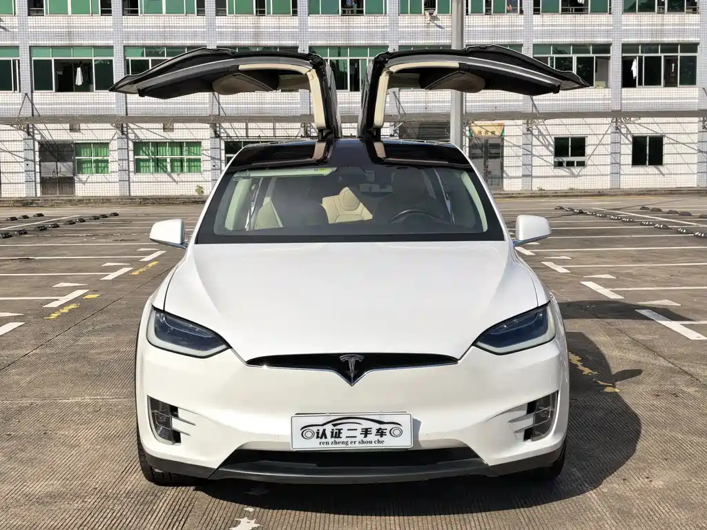 Tesla Model X 2017 — фото 2