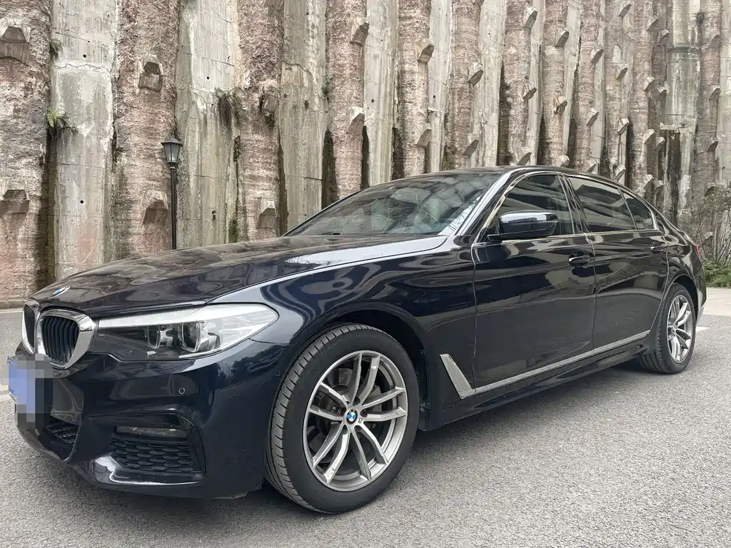 BMW 5 Series 2019 — фото 1