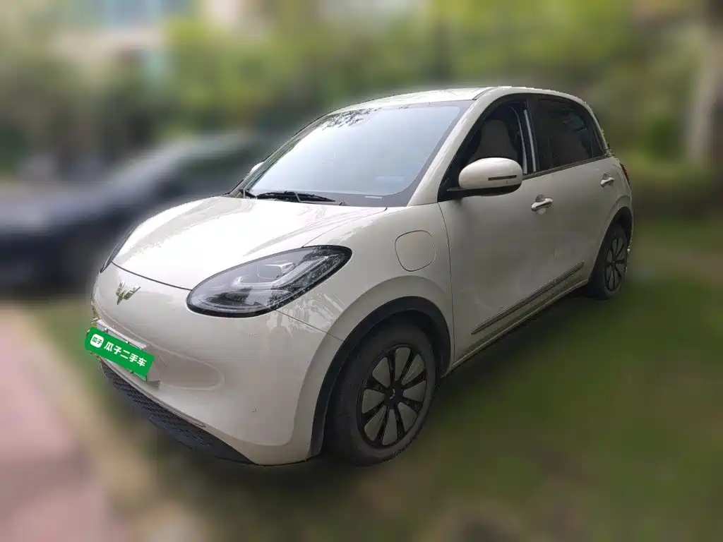 Wuling Bingo 2024