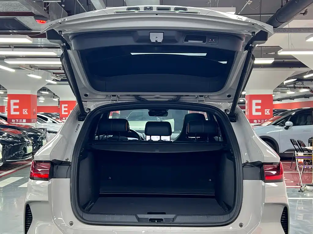 BYD PLUS New Energy 2024 — фото 11