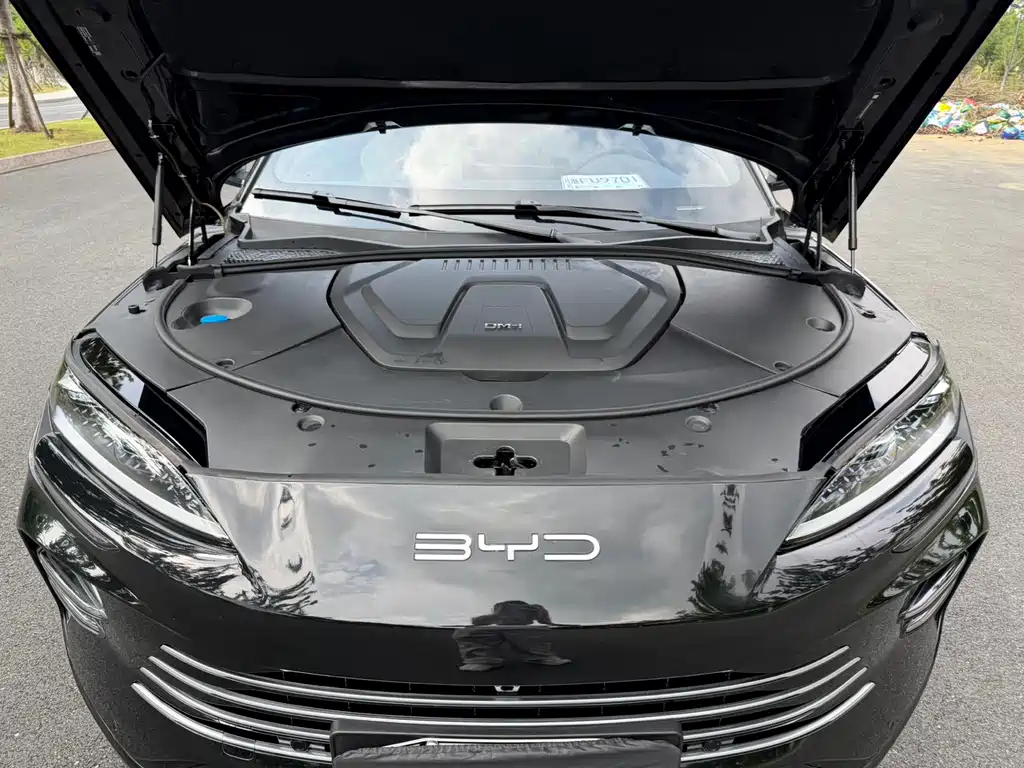 BYD PLUS New Energy 2025 — фото 10