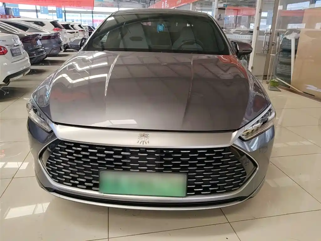 BYD Qin PLUS 2024 — фото 3