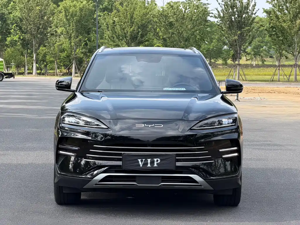 BYD PLUS New Energy 2025 — фото 2