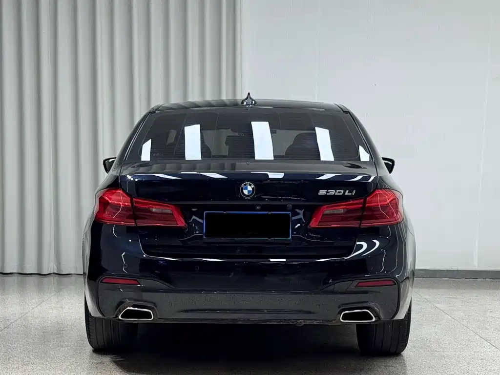 BMW 5 Series 2017 — фото 5
