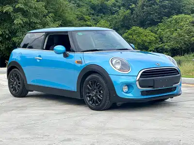 MINI MINI 2019