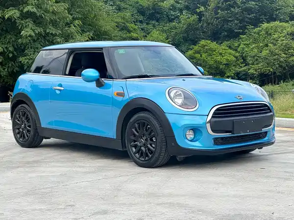 MINI MINI 2019