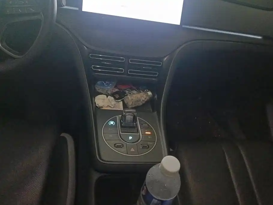 BYD Sealion 05 DM-i 2025 — фото 16