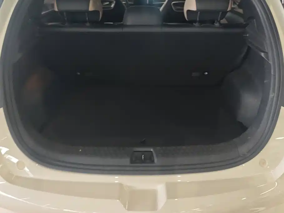 BYD Dolphin 2024
