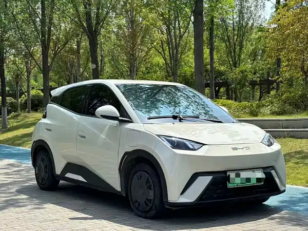 BYD Seagull 2025