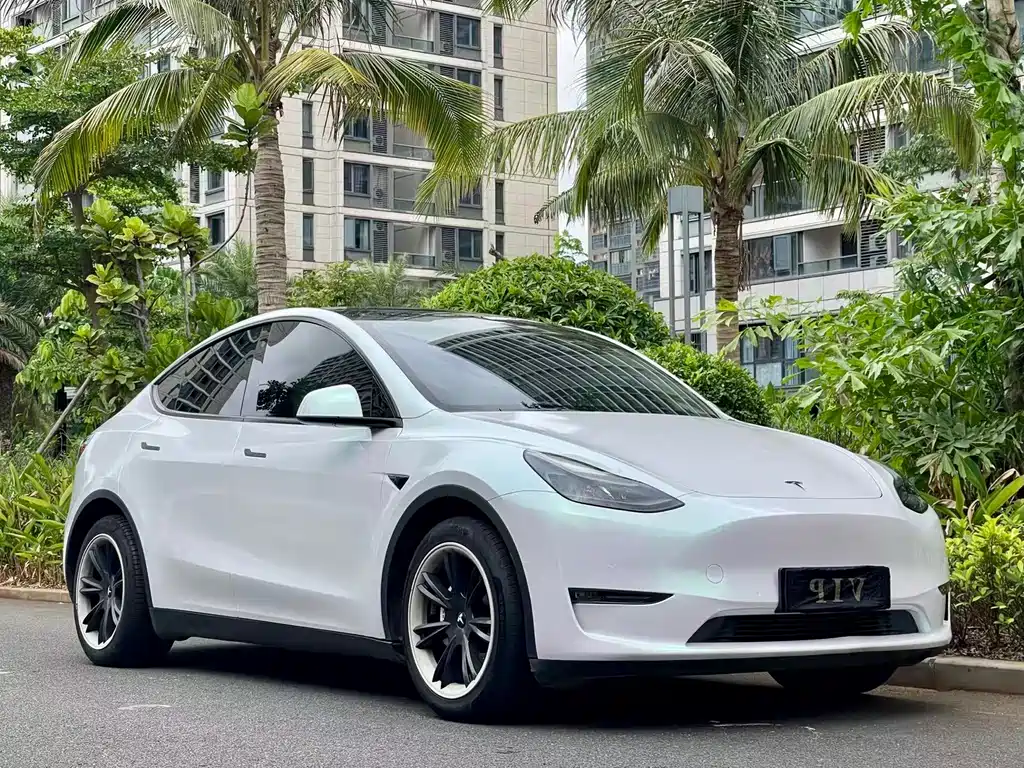 Tesla Model Y 2021 — фото 3