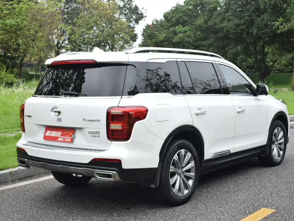 GAC Motor Trumpchi GS8 2020 — фото 6