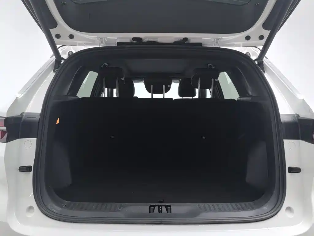 Ford Territory 2023 — фото 16