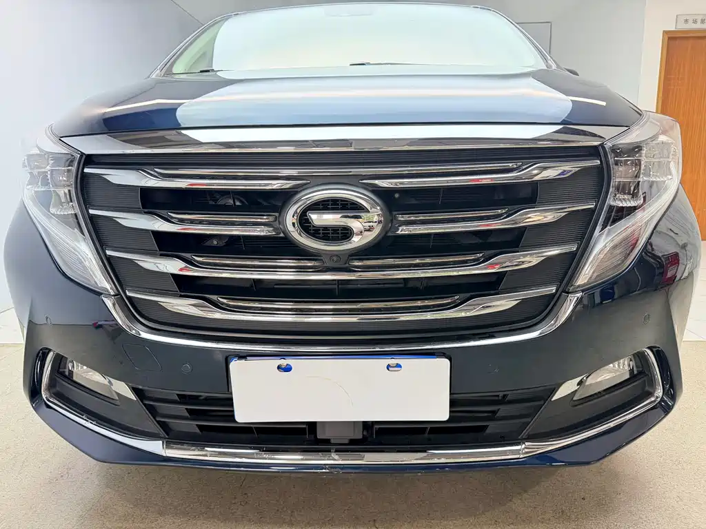 GAC Motor Trumpchi M8 2019 — фото 26