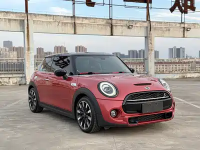 MINI MINI 2020