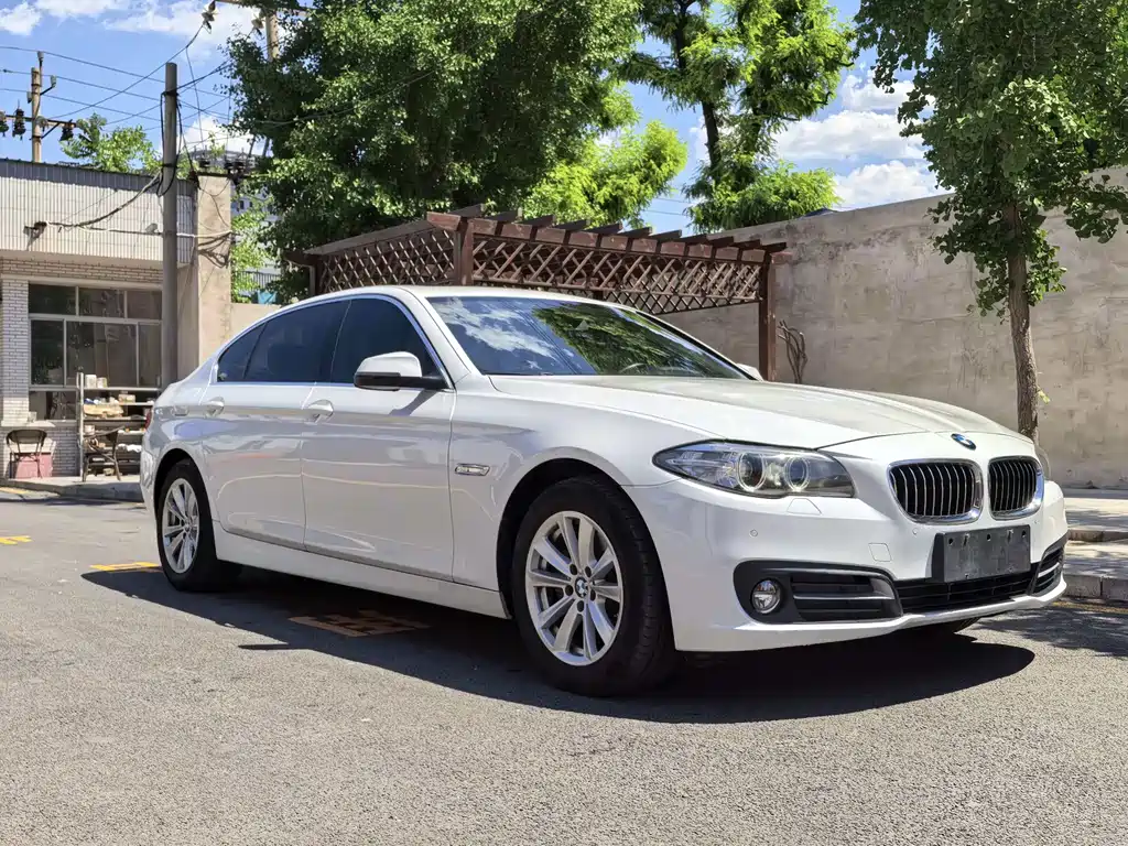 BMW 5 Series 2017 — фото 3