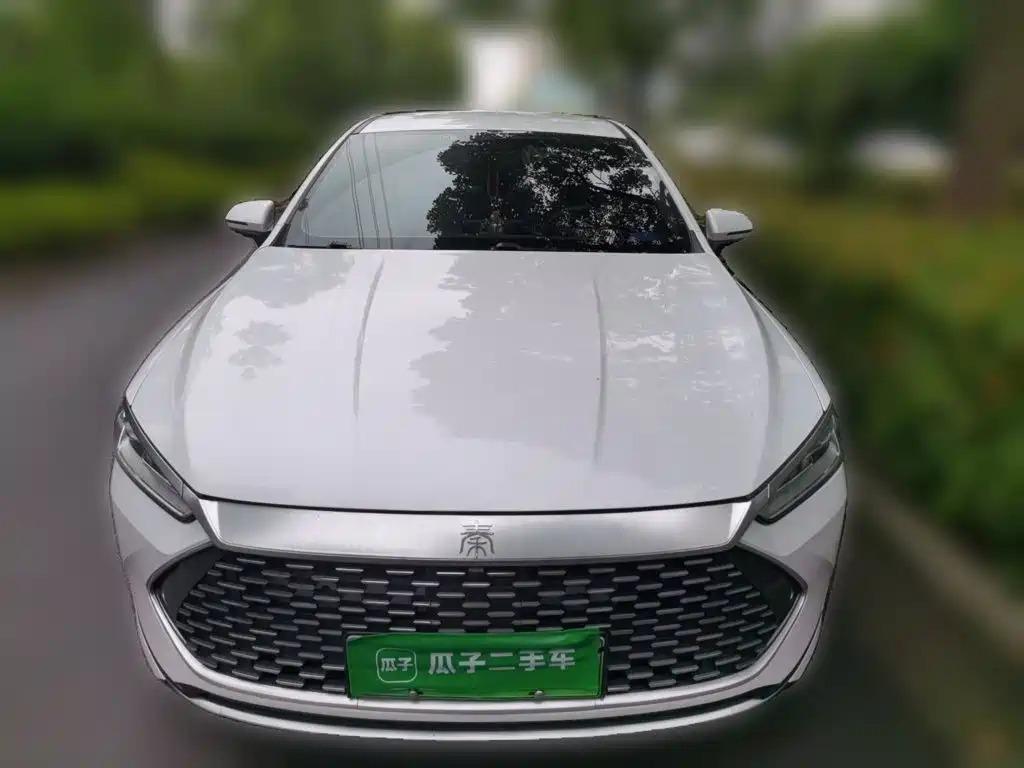 BYD Qin PLUS 2024 — фото 24