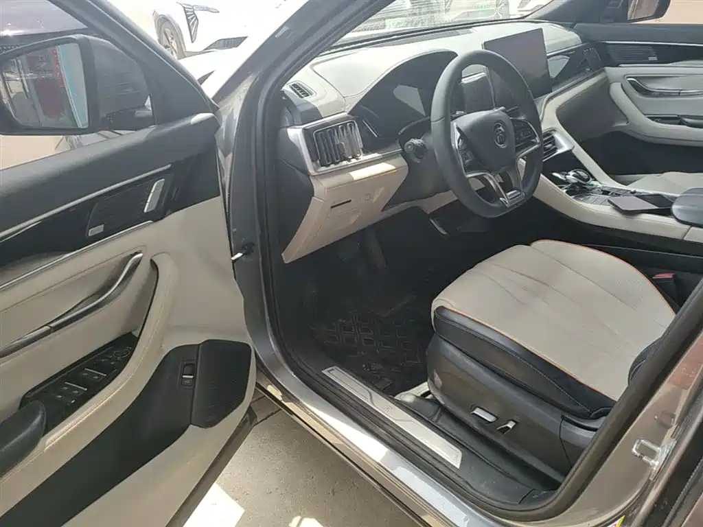 BYD PLUS New Energy 2022 — фото 16