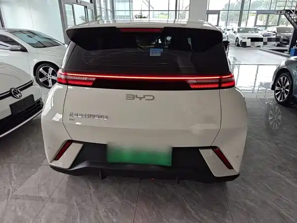 BYD Seagull 2024