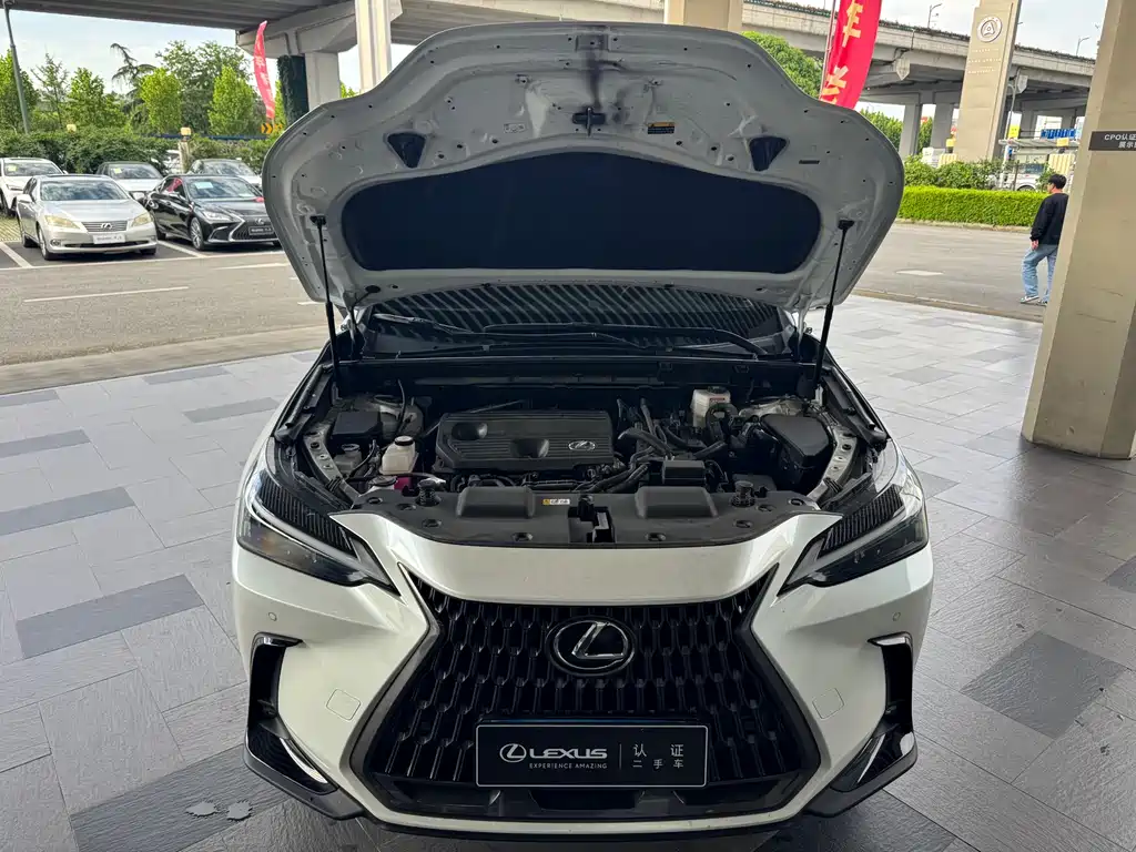 Lexus NX 2024 — фото 18