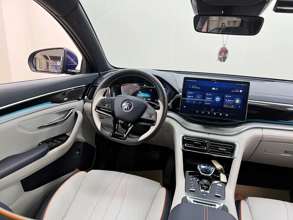 BYD PLUS New Energy 2022 — фото 21