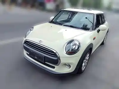 MINI MINI 2019