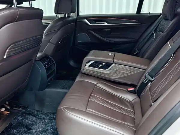 BMW 5 Series New Energy 2020