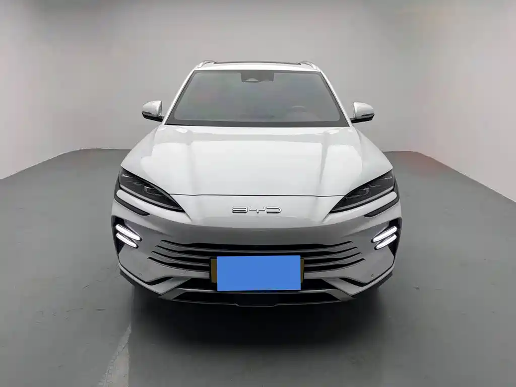 BYD PLUS New Energy 2024 — фото 3