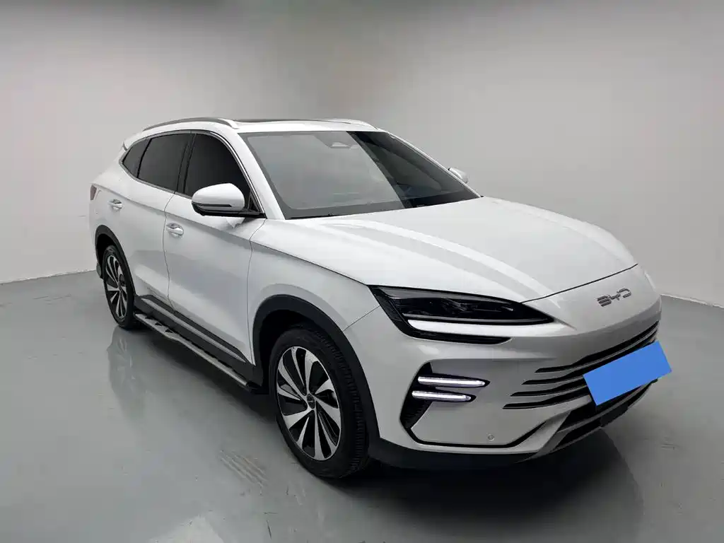 BYD PLUS New Energy 2024 — фото 2