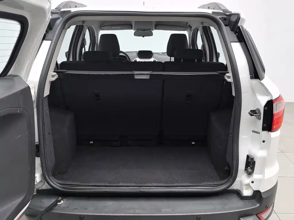 Ford EcoSport 2016 — фото 16