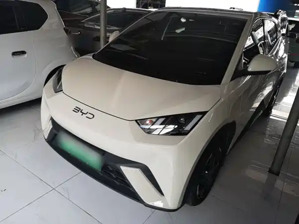 BYD Seagull 2024
