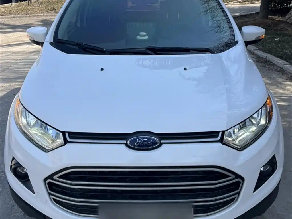Ford Ecosport 2017 — фото 10
