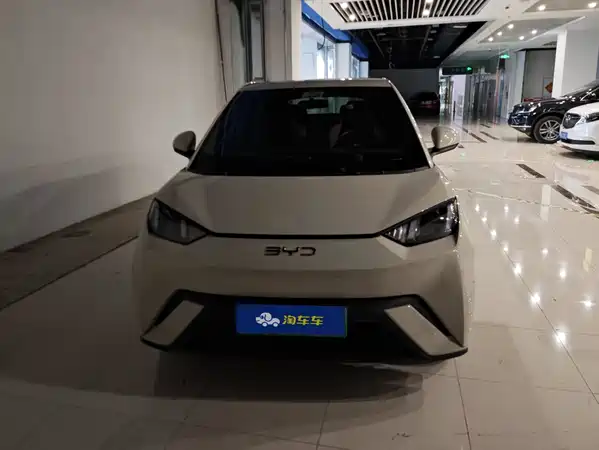 BYD Seagull 2024