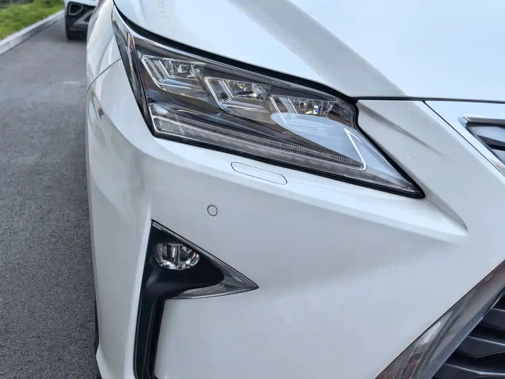 Lexus RX 2017 — фото 14