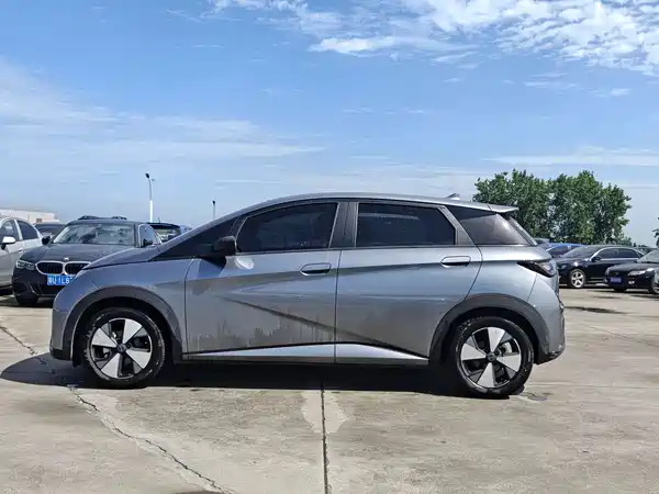 BYD Dolphin 2024