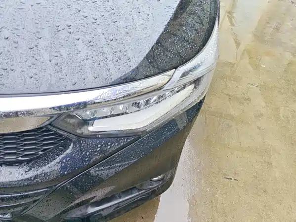 Honda Crider 2020