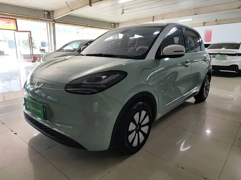 Wuling Bingo 2024