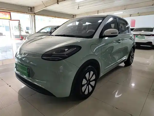 Wuling Bingo 2024