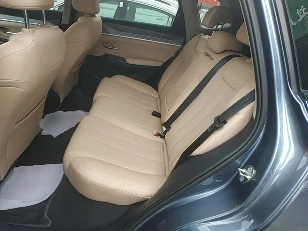 BYD Song Pro New Energy 2025 — фото 17