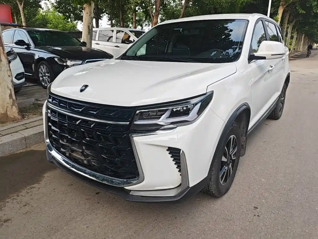 Dongfeng Fengxing T5 2024